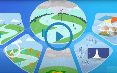 Portfolio: Demonstrating Rain Harvest Explainer Video | EFFE 2D Animation Company